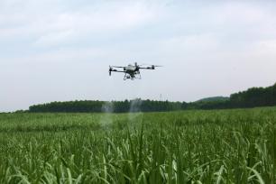 广西融水：无人机助力高效生产