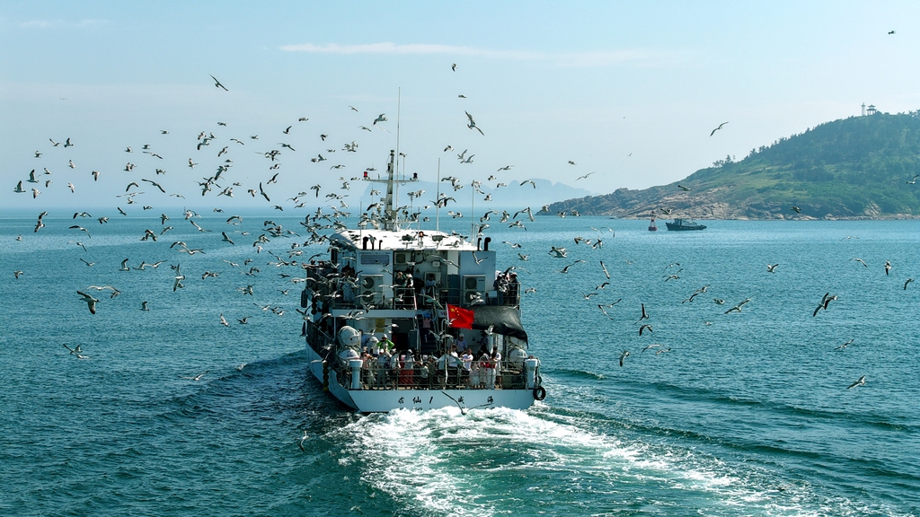山东威海：海上低碳游 休闲乐悠悠