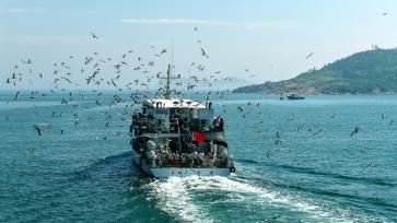 山东威海：海上低碳游 休闲乐悠悠