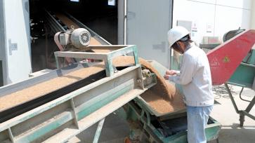 江苏南通：夏粮收储入库忙