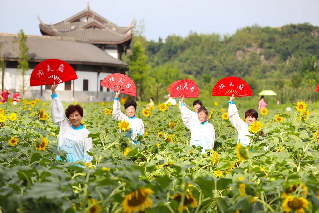 重庆梁平：向日葵花开引客来