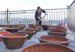 夏日时节 湖南娄底辣酱晒制忙
