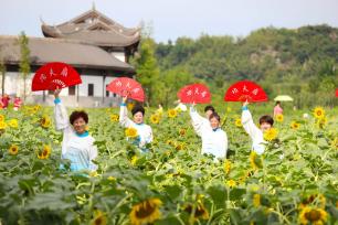 重庆梁平：向日葵花开引客来