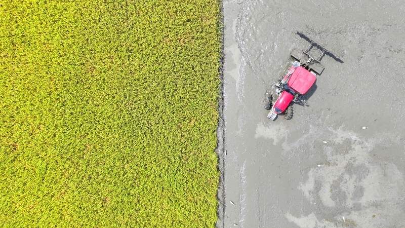 江西吉安：保障夏耕灌溉用水