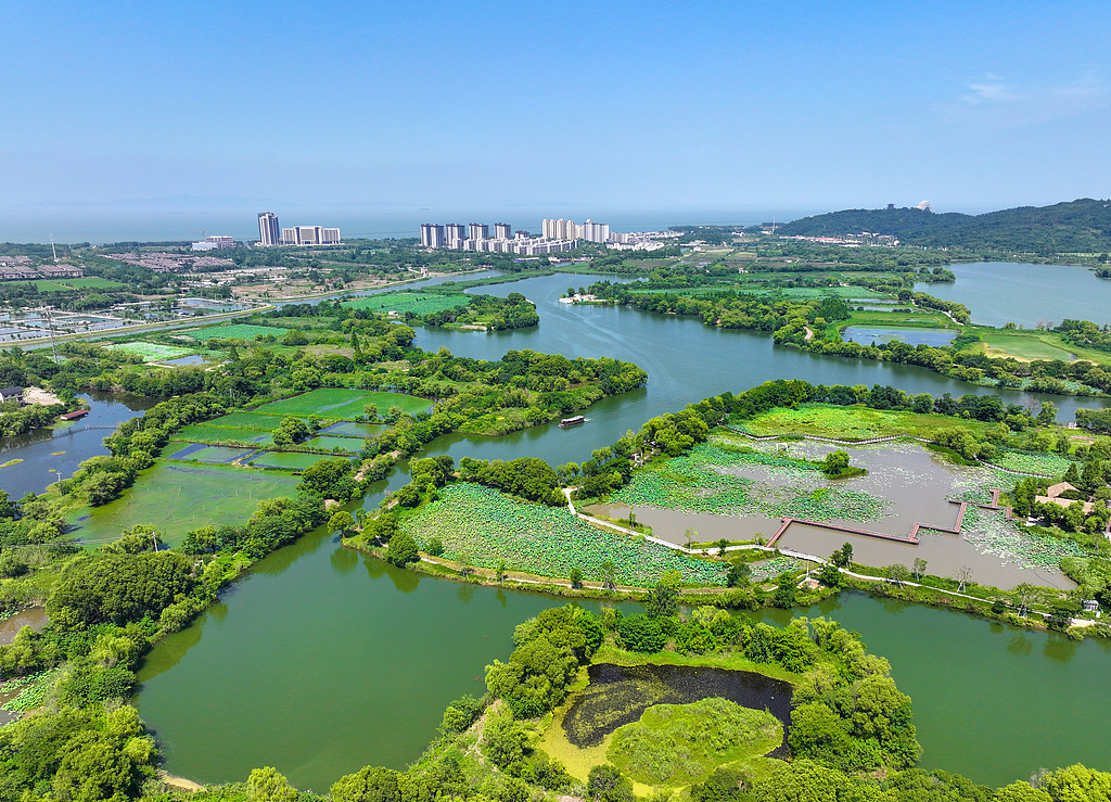 浙江湖州：游船航行在湿地公园湖面上