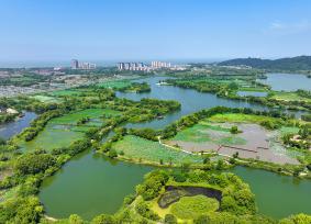 浙江湖州：游船航行在湿地公园湖面上