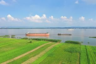 安徽安庆：长江江面宽阔 船舶穿梭