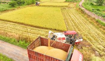 江西赣州：农机收割早稻