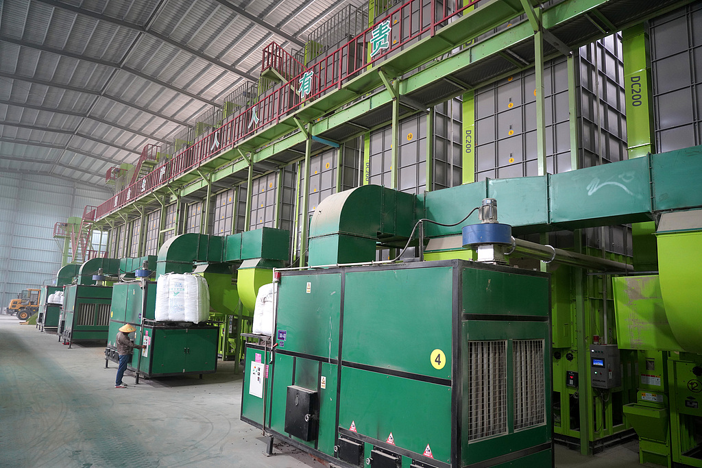 浙江乐清：稻谷被投入烘干流水线进粮口