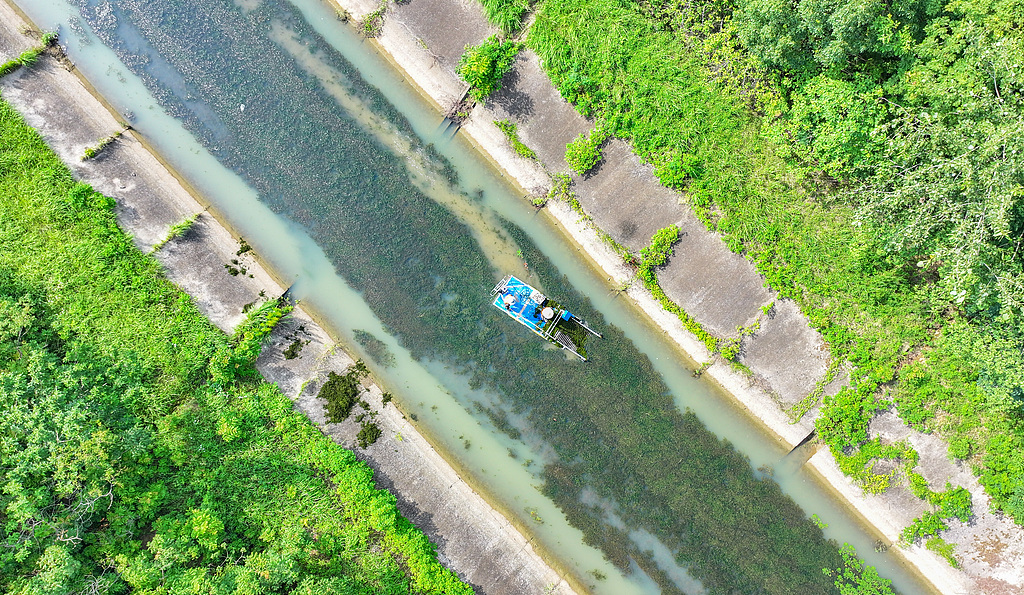 安徽合肥：水利人员打捞水草