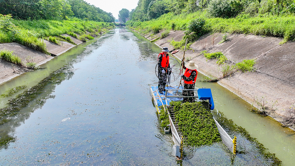 安徽合肥：水利人员打捞水草