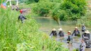 安徽合肥：水利人员打捞水草