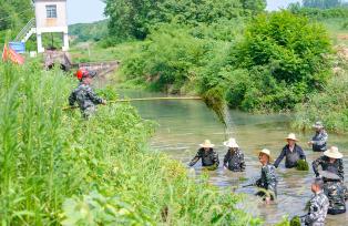 安徽合肥：水利人员打捞水草