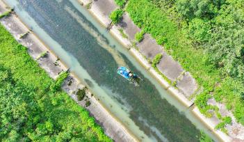 安徽合肥：水利人员打捞水草