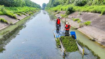 安徽合肥：水利人员打捞水草