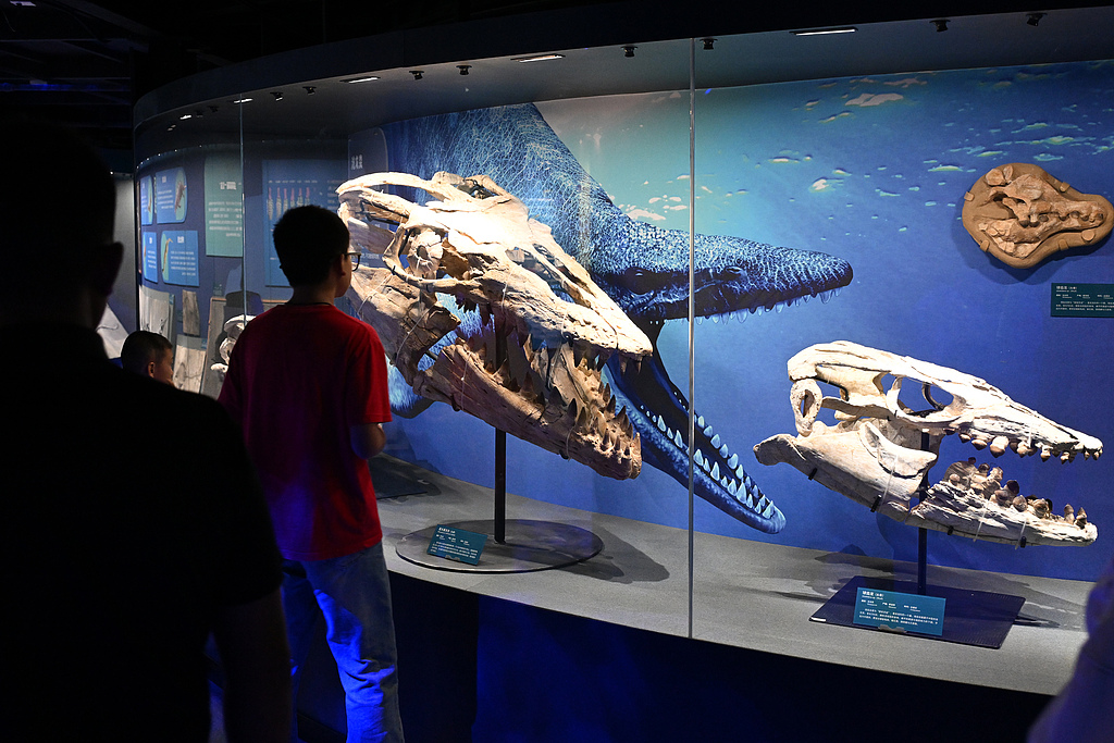 国家自然博物馆“博物馆之夜”在京启幕