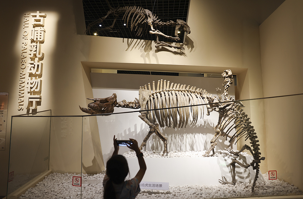 国家自然博物馆“博物馆之夜”在京启幕