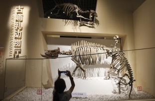 国家自然博物馆“博物馆之夜”在京启幕
