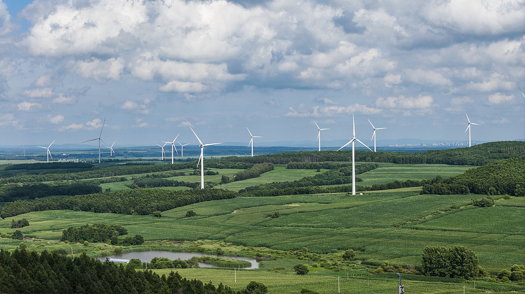 黑龙江佳木斯：风车输送绿色清洁能源
