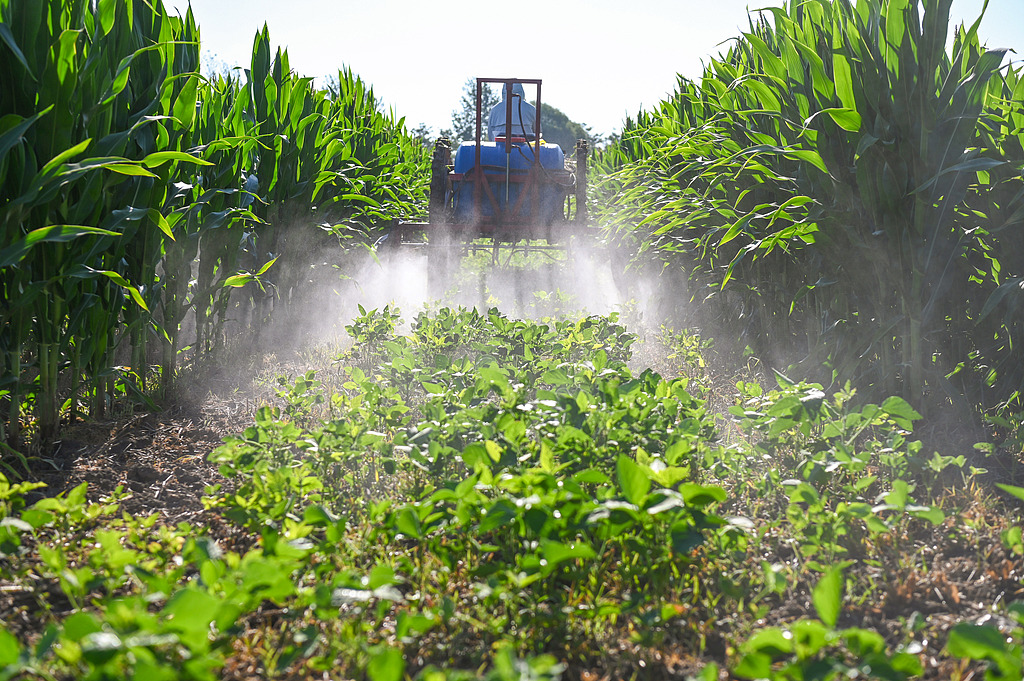 安徽亳州：农民对农作物进行施药灌溉