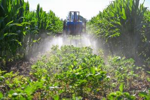 安徽亳州：农民对农作物进行施药灌溉