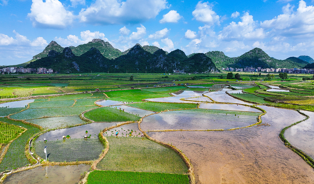 湖南永州：村民在田间劳作