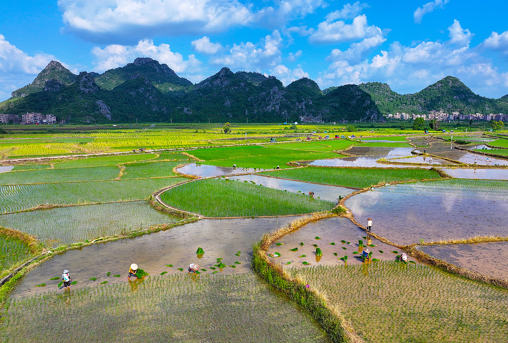湖南永州：村民在田间劳作