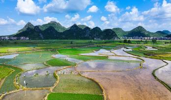 湖南永州：村民在田间劳作
