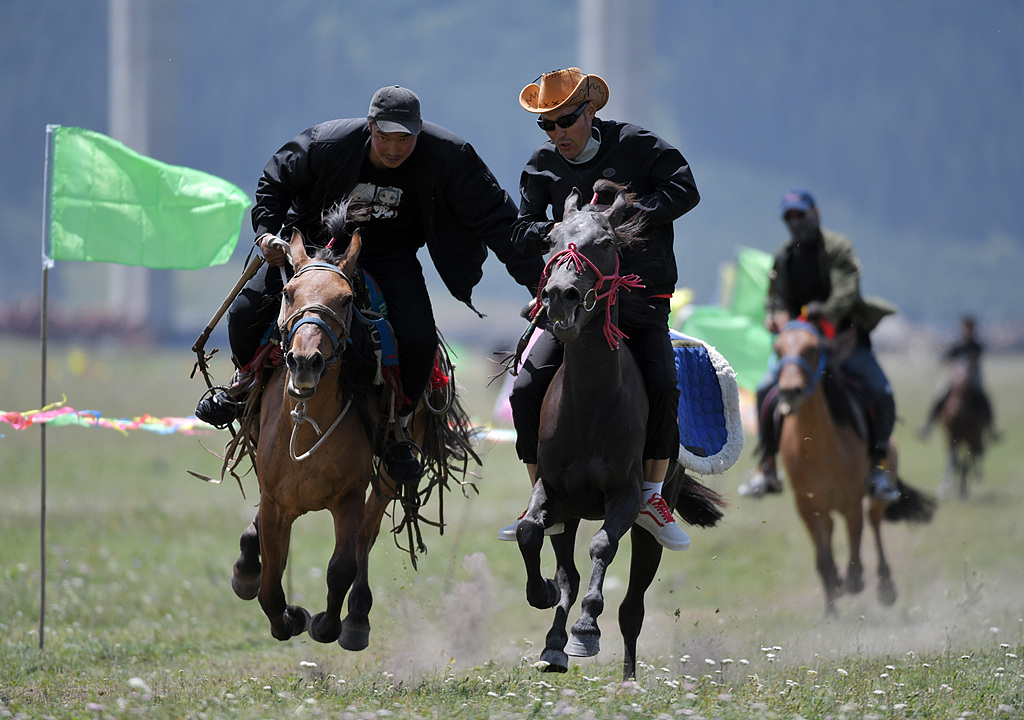 新疆巴州：那达慕盛会赛马飞驰