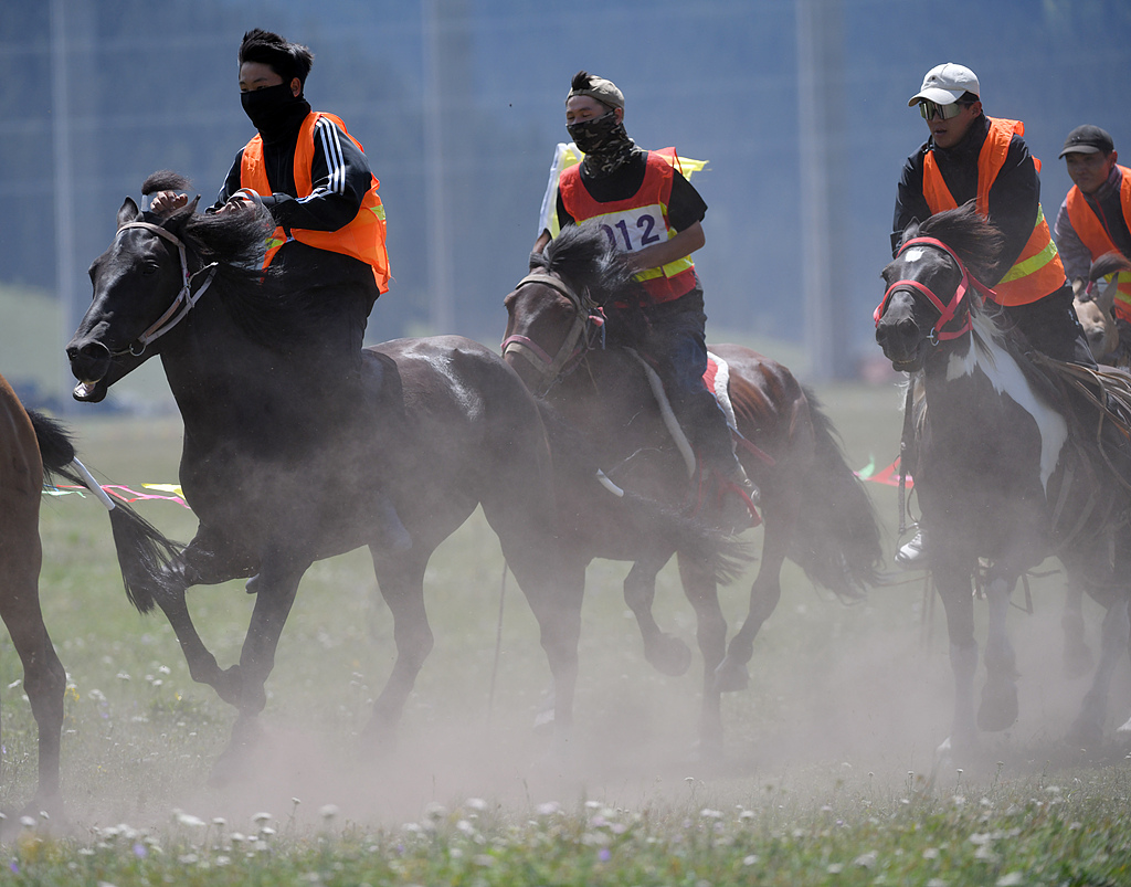 新疆巴州：那达慕盛会赛马飞驰
