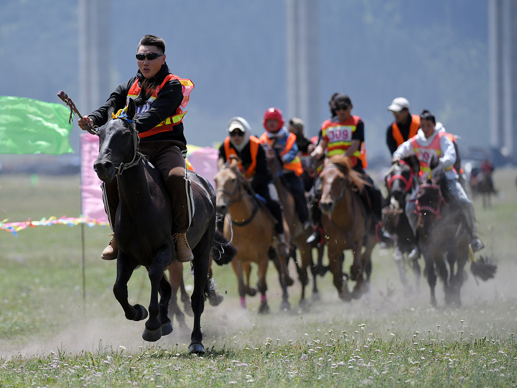 新疆巴州：那达慕盛会赛马飞驰
