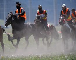 新疆巴州：那达慕盛会赛马飞驰