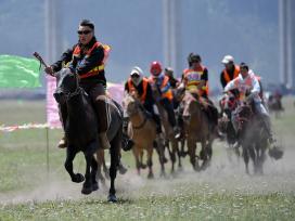 新疆巴州：那达慕盛会赛马飞驰