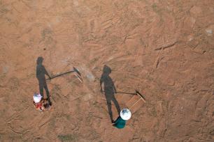 四川内江：农民抢抓晴好天气晾晒高粱