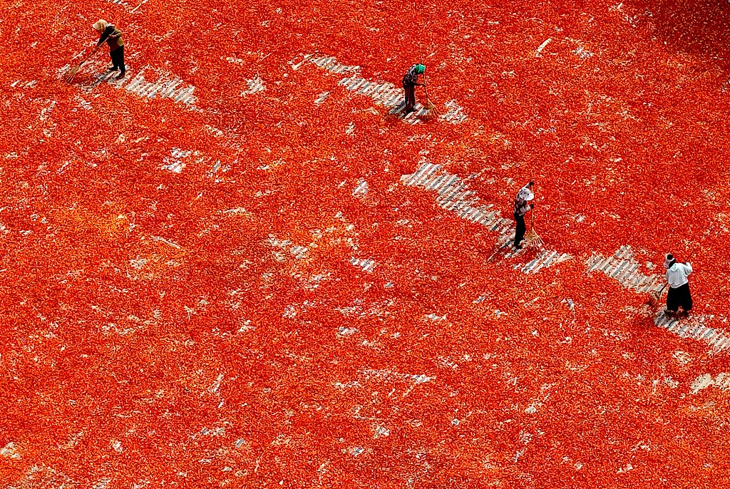 安徽亳州：村民抢抓晴好天气晾晒辣椒
