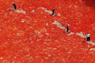 安徽亳州：村民抢抓晴好天气晾晒辣椒