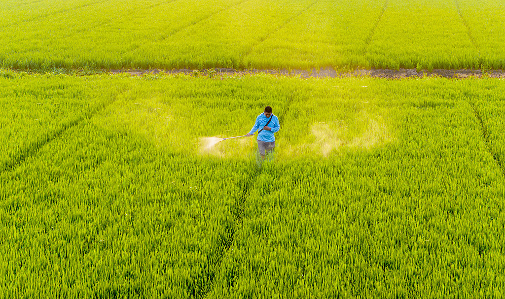江苏宿迁：农户利用气泵机喷洒农药