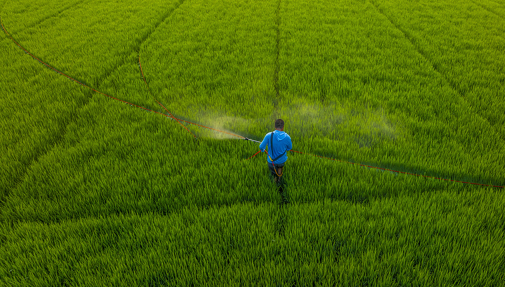 江苏宿迁：农户利用气泵机喷洒农药