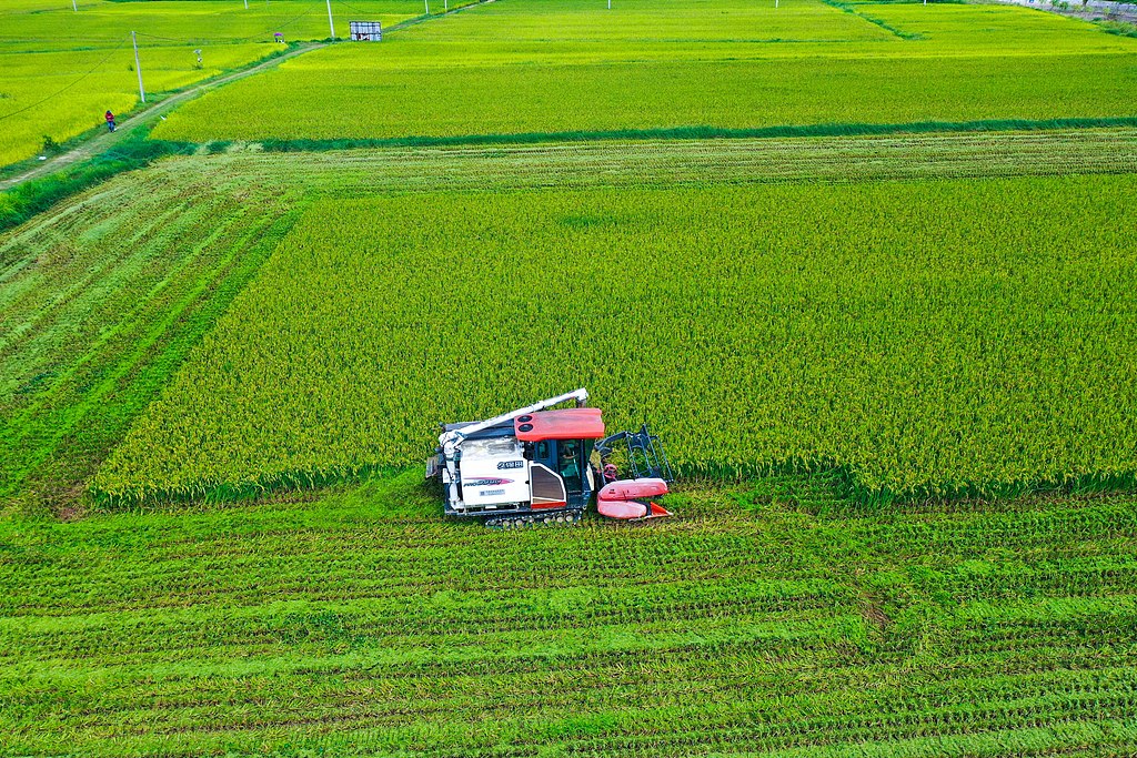 河南光山稻谷飘香 田间地头奏响“丰收曲”