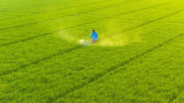 江苏宿迁：农户利用气泵机喷洒农药