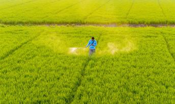 江苏宿迁：农户利用气泵机喷洒农药