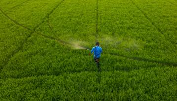 江苏宿迁：农户利用气泵机喷洒农药