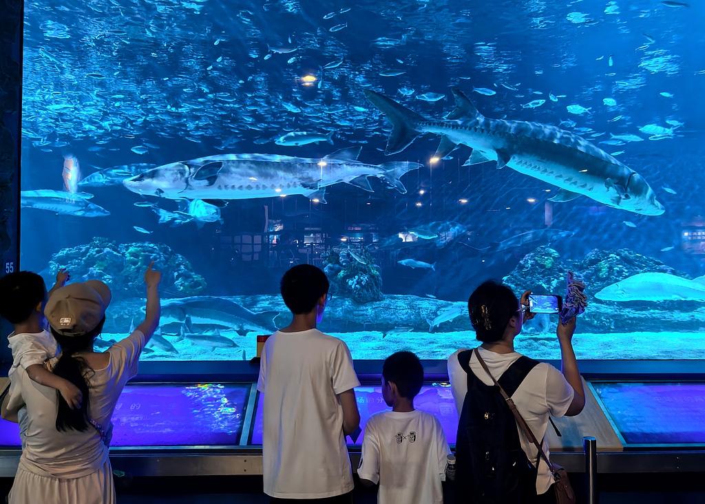 北京：小朋友畅游海洋世界 享快乐暑假