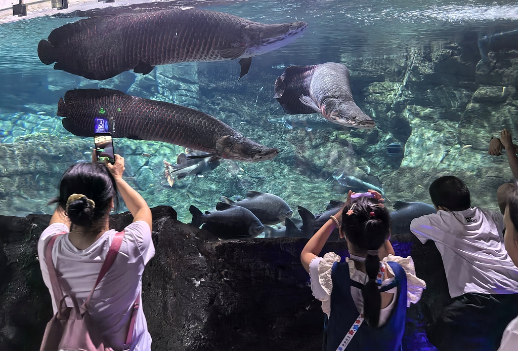 北京：小朋友畅游海洋世界 享快乐暑假