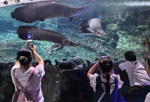 北京：小朋友畅游海洋世界 享快乐暑假