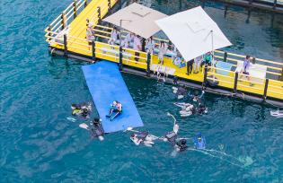 海南三亚：众多游客体验水上项目