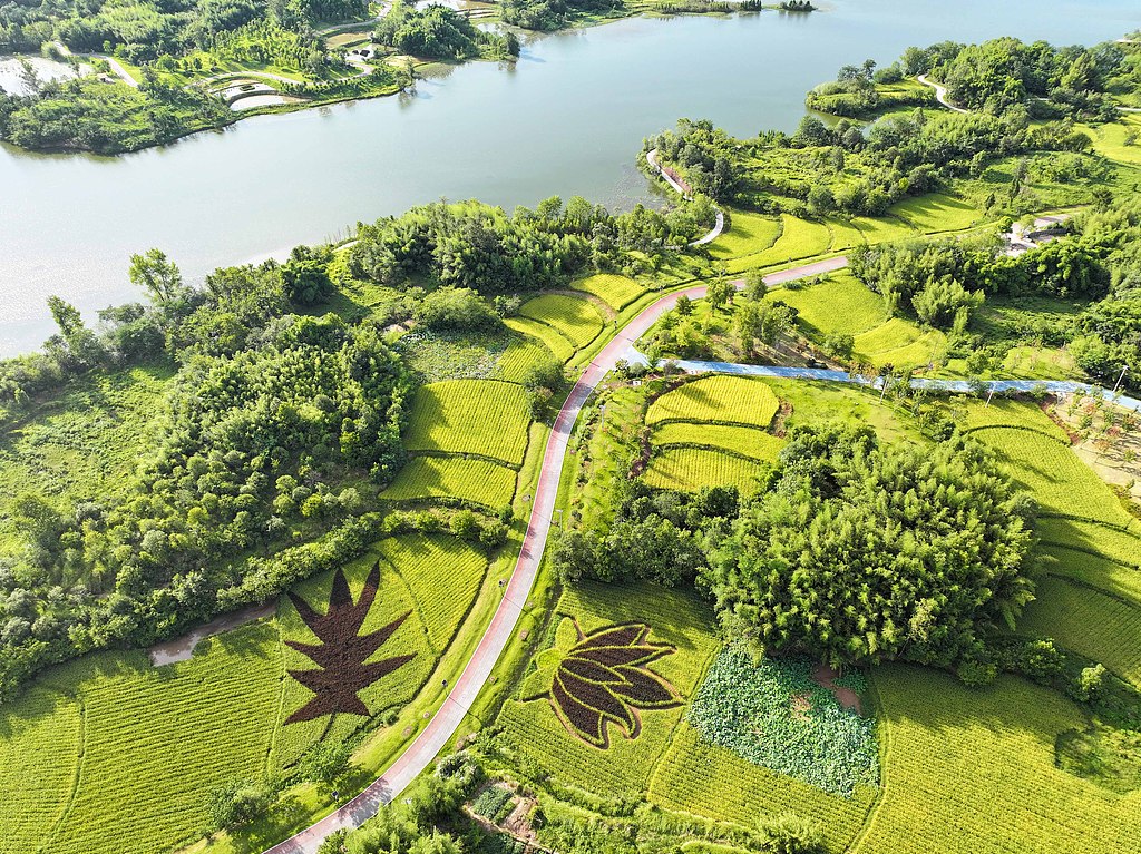 重庆梁平：双桂湖国家湿地公园草绿水清