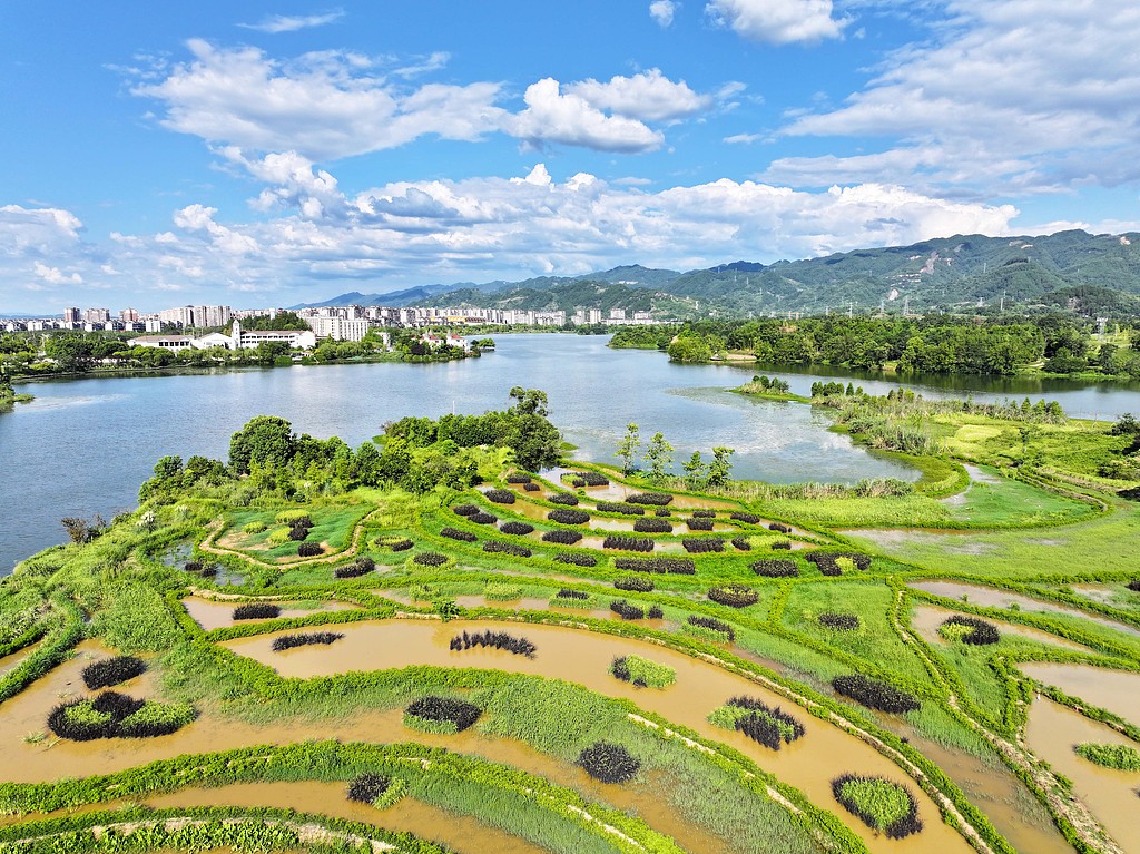 重庆梁平：双桂湖国家湿地公园草绿水清