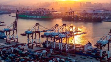 青岛港前湾集装箱码头有序吞吐货物