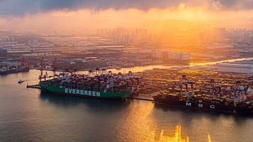 青岛港前湾集装箱码头有序吞吐货物